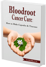 Bloodroot cancer cure how to make capsules and tincture